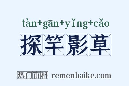 探竿影草是什么意思的图片